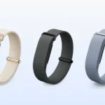 Google Fitbit Air Leak: BIS Certification