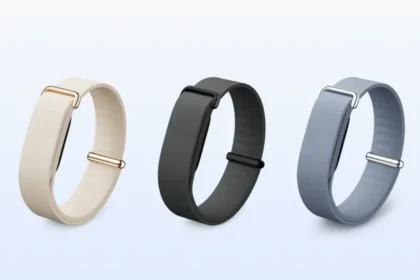 Google Fitbit Air Leak: BIS Certification
