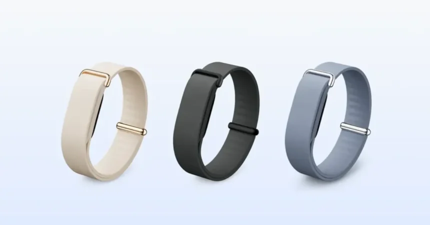 Google Fitbit Air Leak Exposes BIS Listing and New Screenless Design 1 Google Fitbit Air Leak: BIS Certification